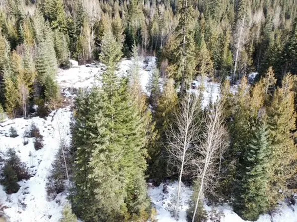 801 Bobbie Burns Rd, North Okanagan, BC V0E 2G4