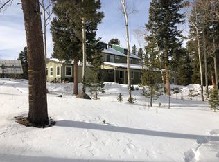 170 Peaceful Valley Ln, Idaho Springs, CO 80452