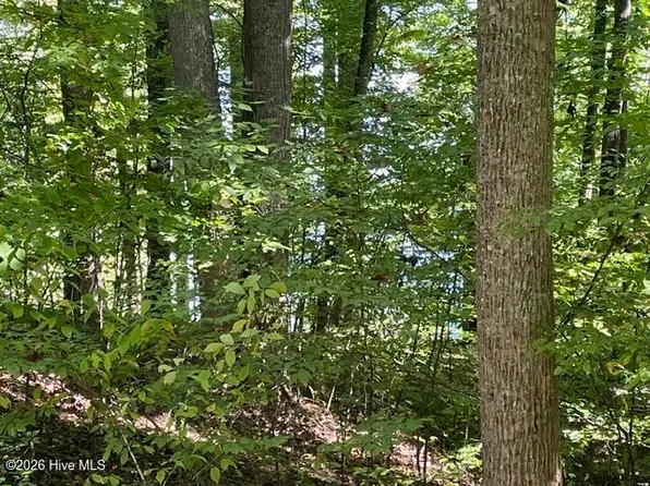 00 Rocky Branch Overlook, Topton, NC 28781