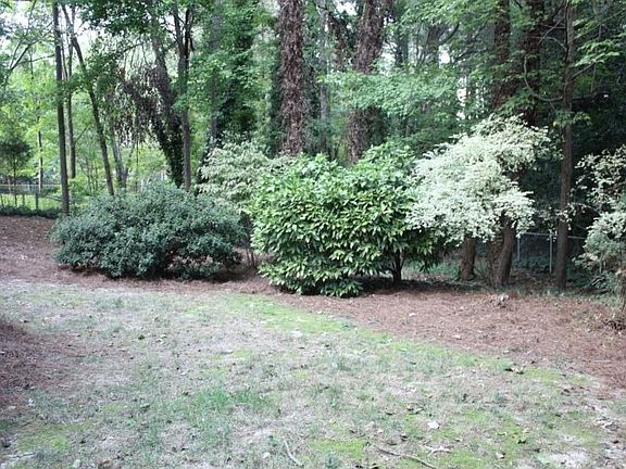 Fenced in backyard w/ extra storage shed.