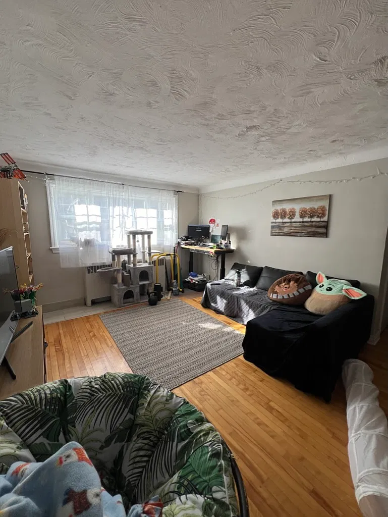 1 bed, 1.0 bath, 700 sqft, $1,635 — Photo 4