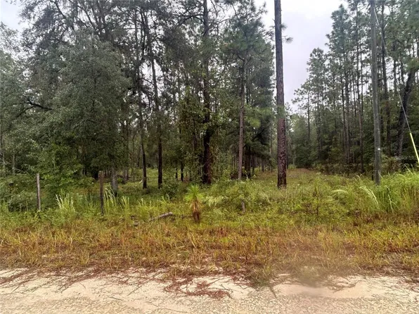 TBD NE 111TH LANE LOT 3, BRONSON, FL 32621