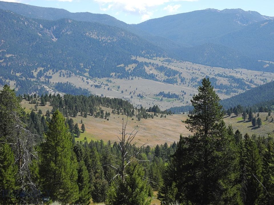 1st image of Appaloosa Trl