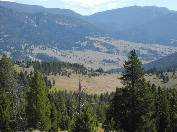 Appaloosa Trl, Gallatin Gateway, MT 59730