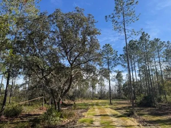 NE 150th Avenue Rd #3, Fort Mc Coy, FL 32134