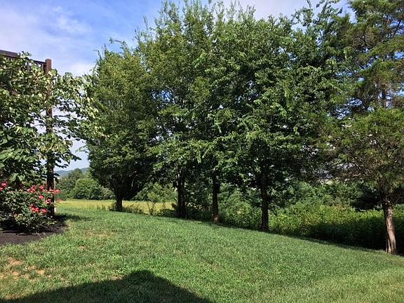 3rd image of 10400 Ivy Hollow Dr