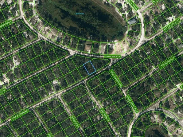 432 Apple Blossom Ct Lot 18, Lake Placid, FL 33852