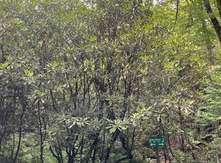 n/a Azalea Woods Drive, Highlands, NC 28741