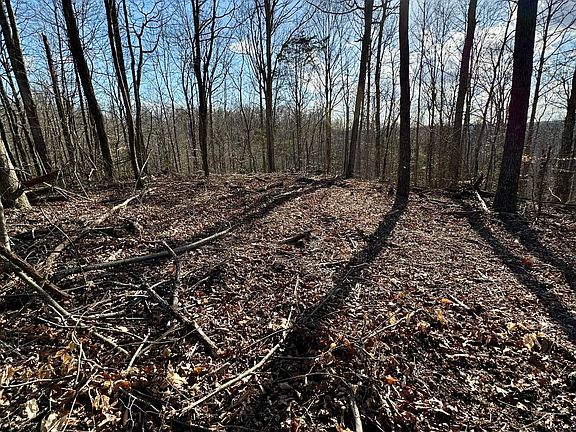 2nd image of 6 Malone Ridge Rd #6