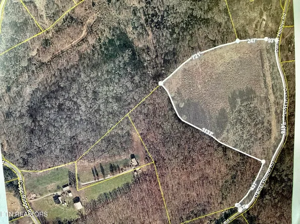 427 Daniel Hollow Rd, New Tazewell, TN 37825