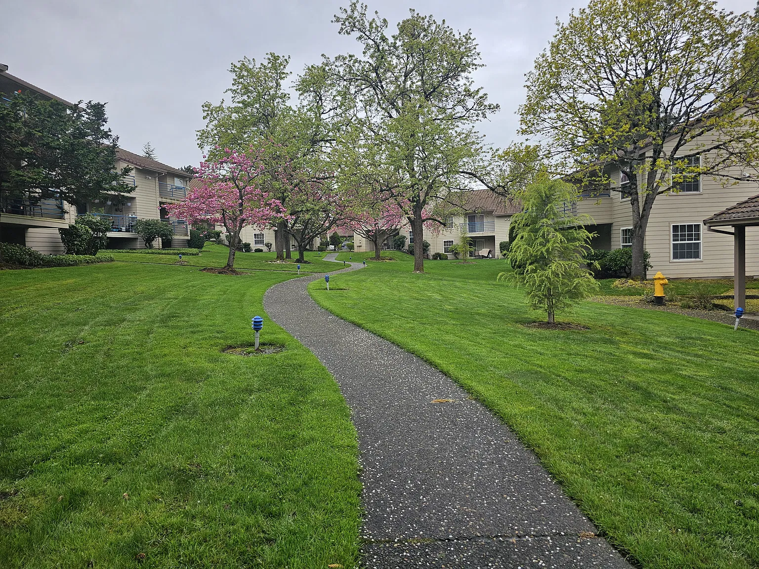 1 bed, 758 sqft, $1,455 — Photo 1