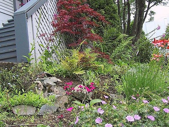 Flowers by Front Entry