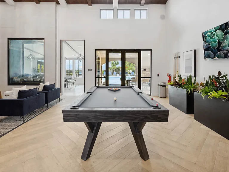 Resident Lounge with Billiards Table