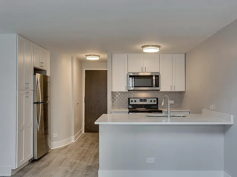 1221 N Dearborn St #806N — Photo 3