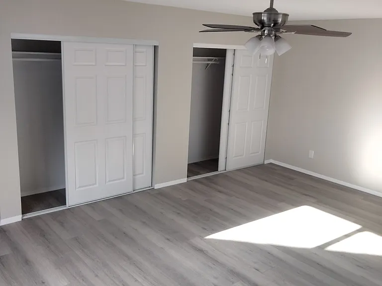 Master Bedroom double closets