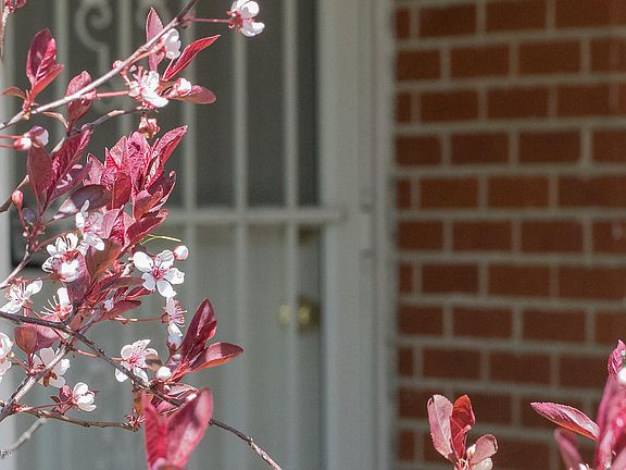 3rd image of 413 Morningside Dr