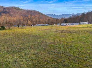 4121 Chavis Rd, Cosby, TN 37722