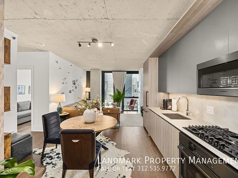 234 W Polk St #2508 — Photo 6