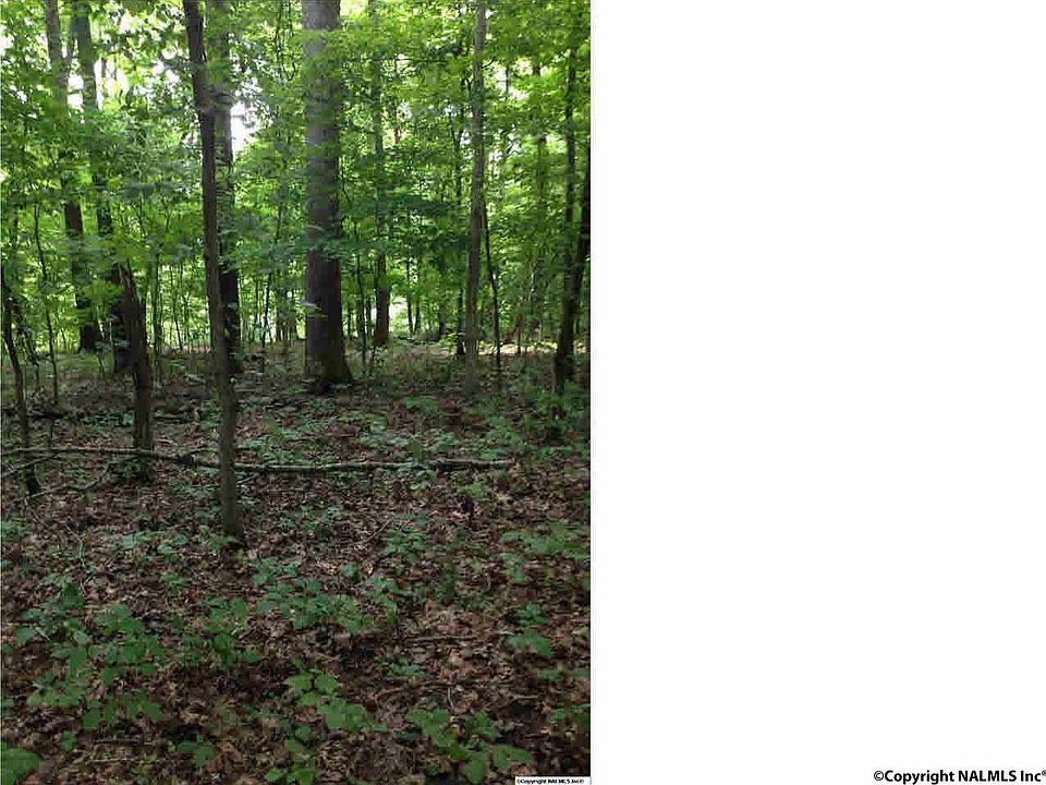 1st image of 132 Candice Dr