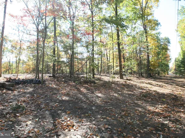 0 Buck Trl, Shade Gap, PA 17255