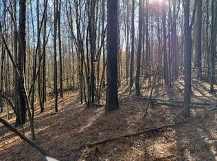 10 State Highway 11, Valley Head, AL 35989