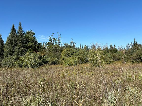 4th image of V/l 20ac Milligan Hwy