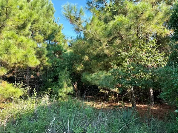 Jamaica Ln, Normangee, TX 77871