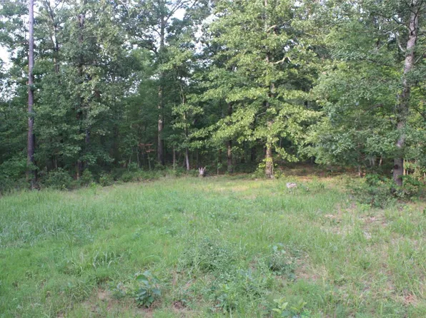 0 Wayne County Rd #204, Silva, MO 63964