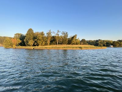 Torbett Rd, Spring City, TN, 37381