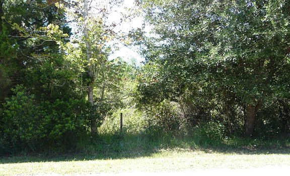 4th image of 6960 SW 108th Ave