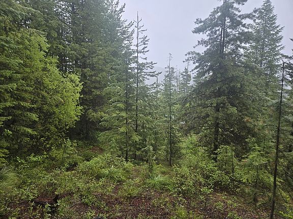 4th image of LOT 15 Nine Mile Rd