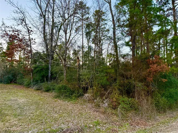 Tallow St Lot 9, Onalaska, TX 77360