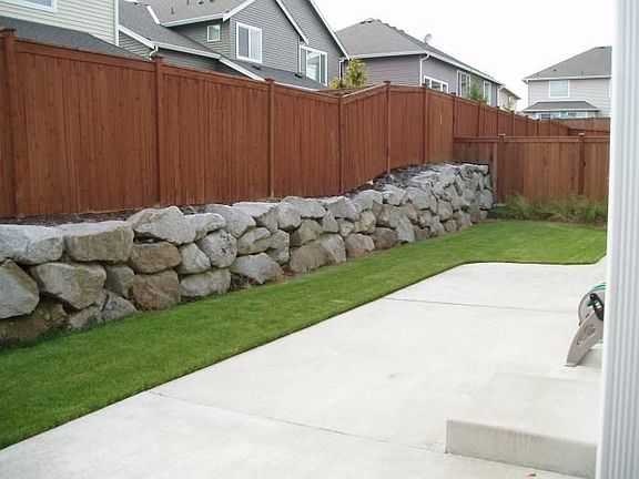 Back yard
