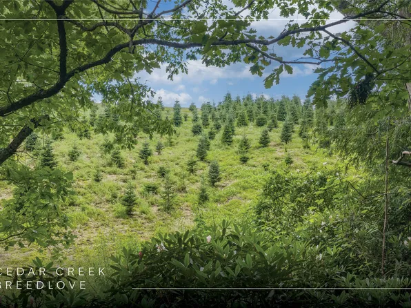 TBD Rein Deer Trail, Glenville, NC 28736