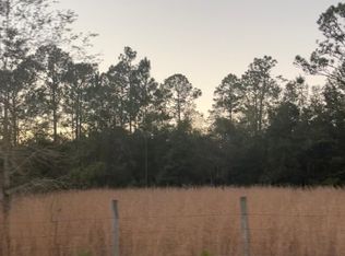 104 Hampton Cir, Georgetown, FL 32139