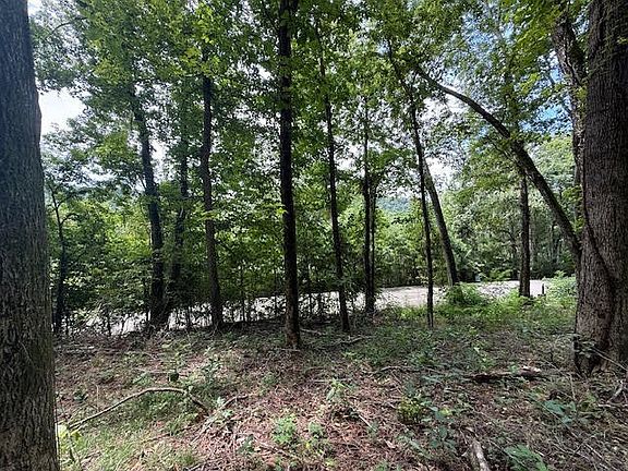 4th image of 74 Williamson Cir Lot 74