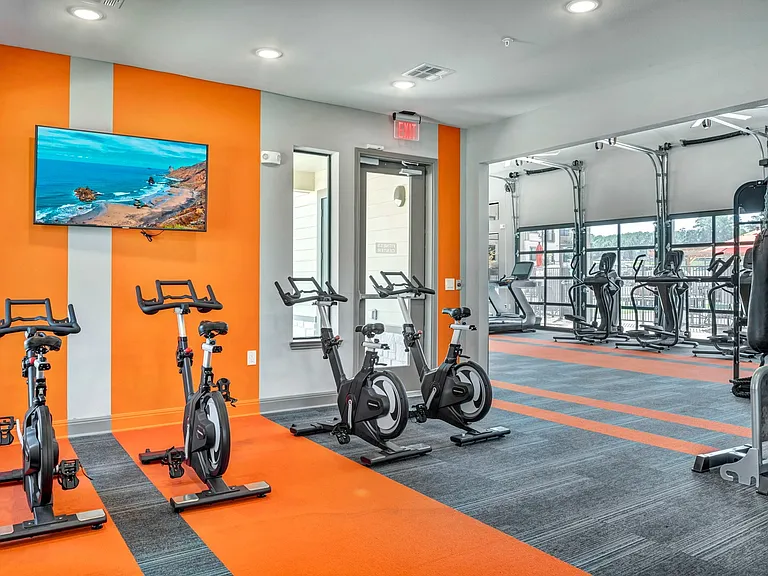Gym - Stationary Bikes