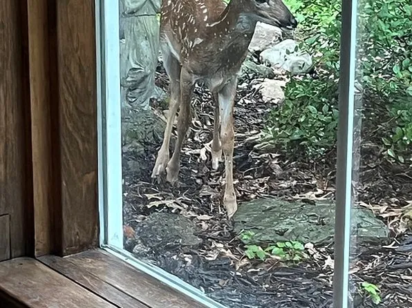 2910 Dayton Xenia Rd, Dayton, OH 45434