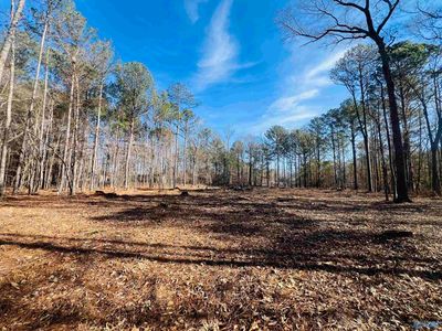 2104 Posey Rd, Gadsden, AL, 35903