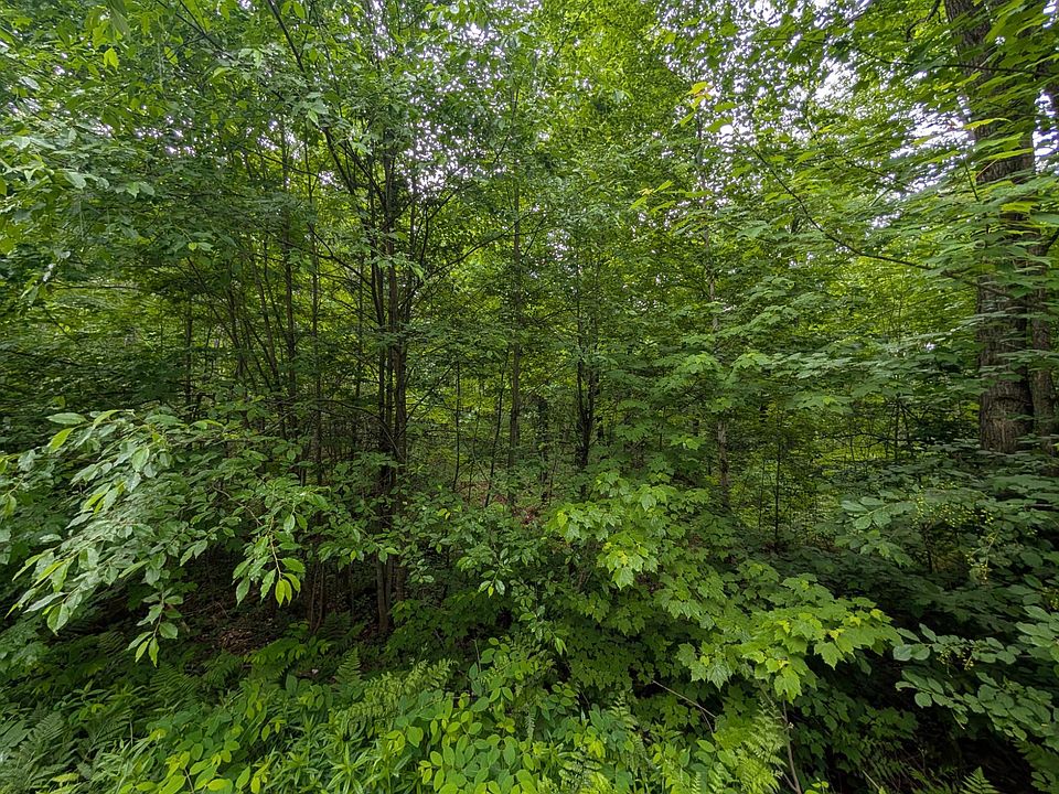 2nd image of LOT 4 Davies Rd