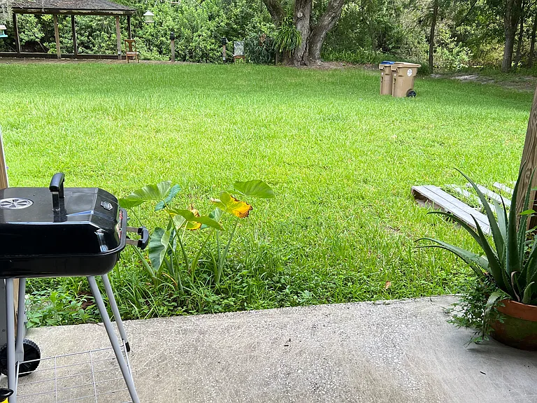 Watch backyard from the Porch