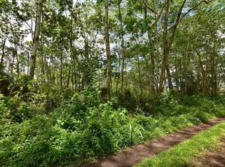 Pahoa Rd, Pahoa, HI 96778