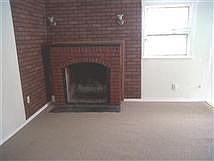 Wood Burning Fireplace