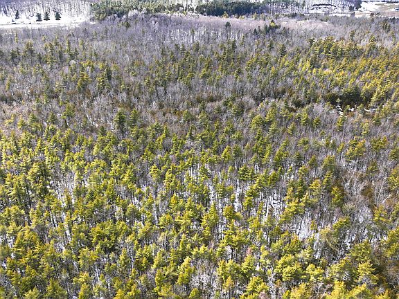 4th image of L2.5 Swamp Road