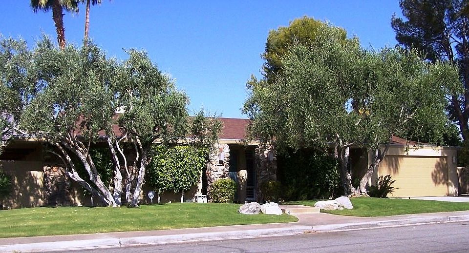 1st image of 303 N Orchid Tree Ln