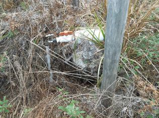 0 Baobab Trl, Interlachen, FL 32148