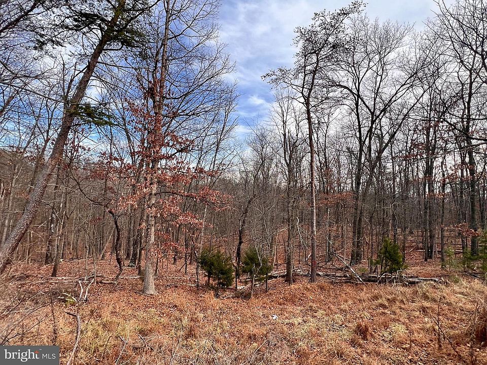 1st image of 25 Nemacolin Trl