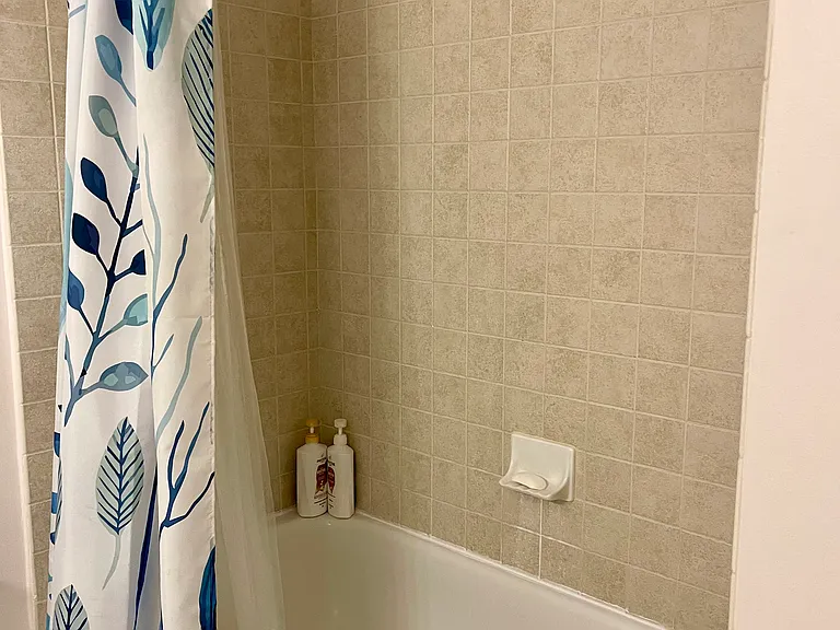 Shower & tub in large bathroom
