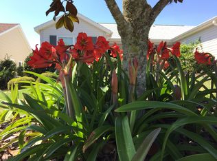 1102 Hester Dr, Benton, AR 72015