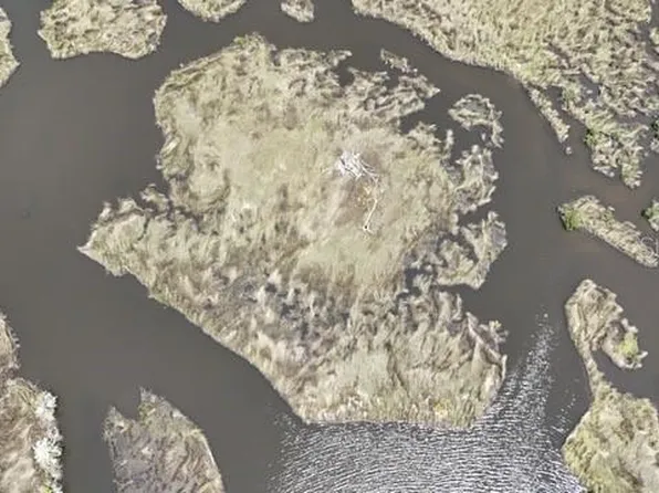 13495 Sportsman Cv Lot 1, Homosassa, FL 34448